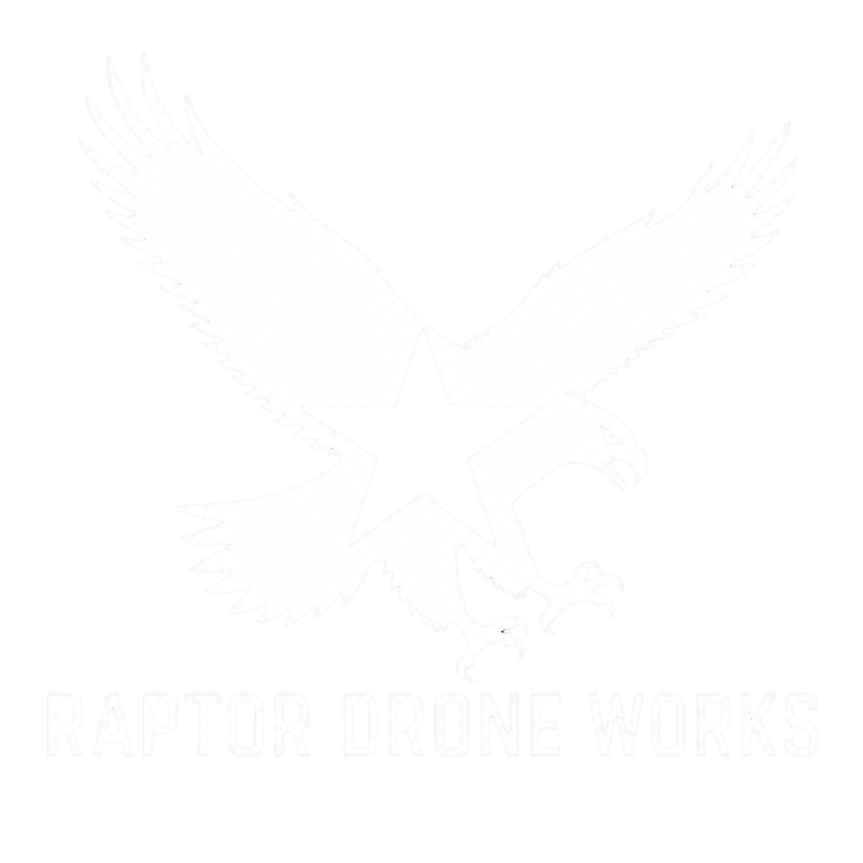 Raptor Drone Works